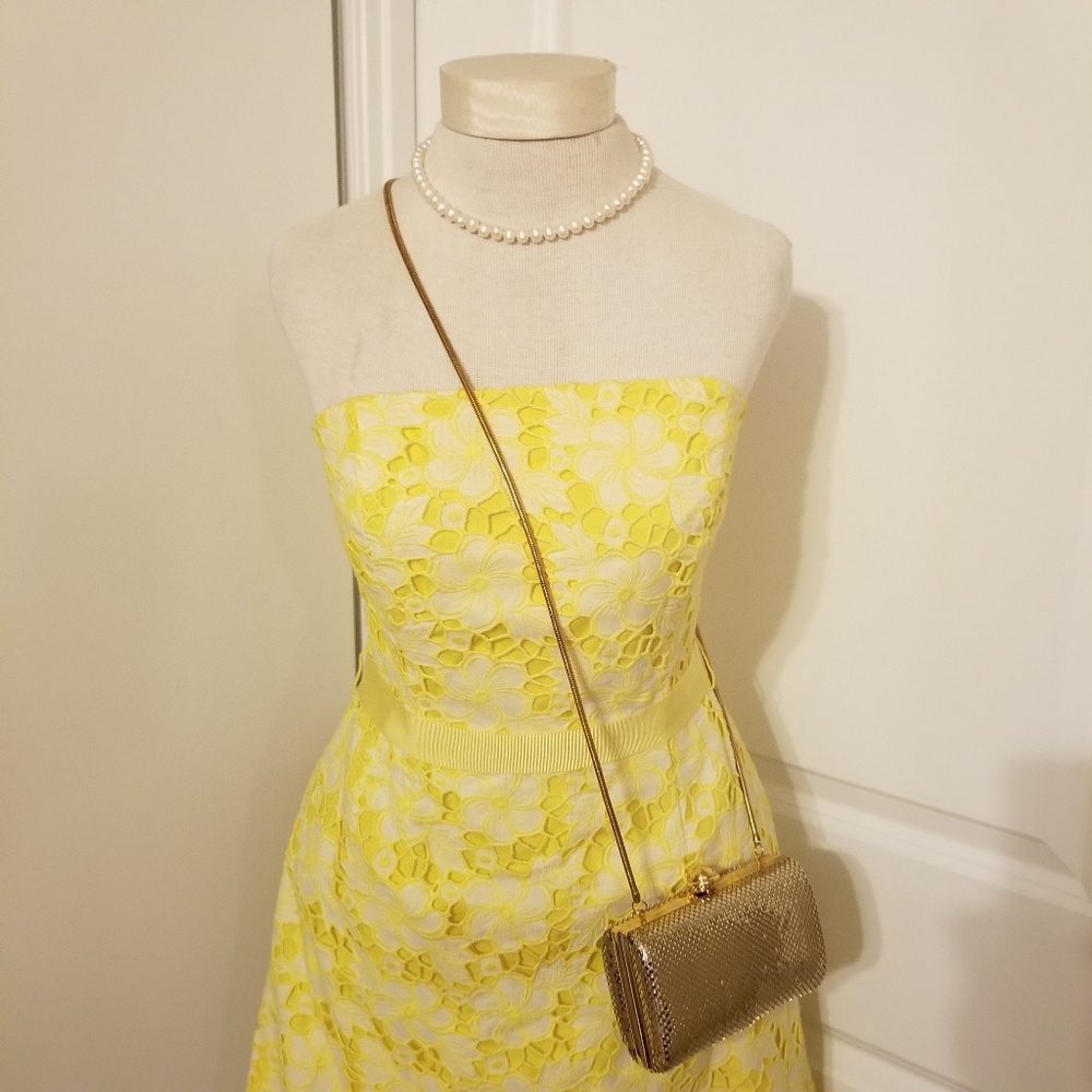 Lilly Pulitzer lace embroidery dress strapless - Picture 2 of 8